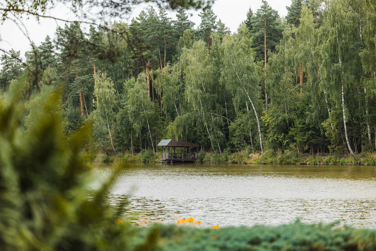Лесное озеро и беседка на дальнем берегу в загородном клубе «Бисерово»